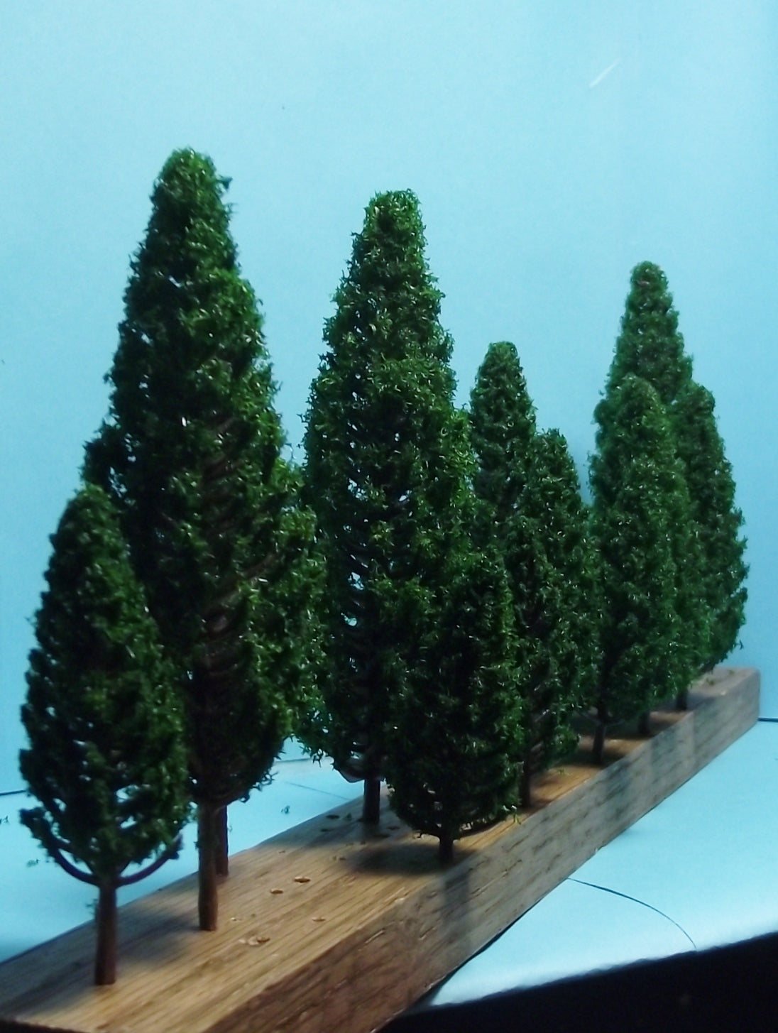 Multi Scale Authentic Scenery 16 Piece Set of Dark Green Pine Trees in 5 Sizes